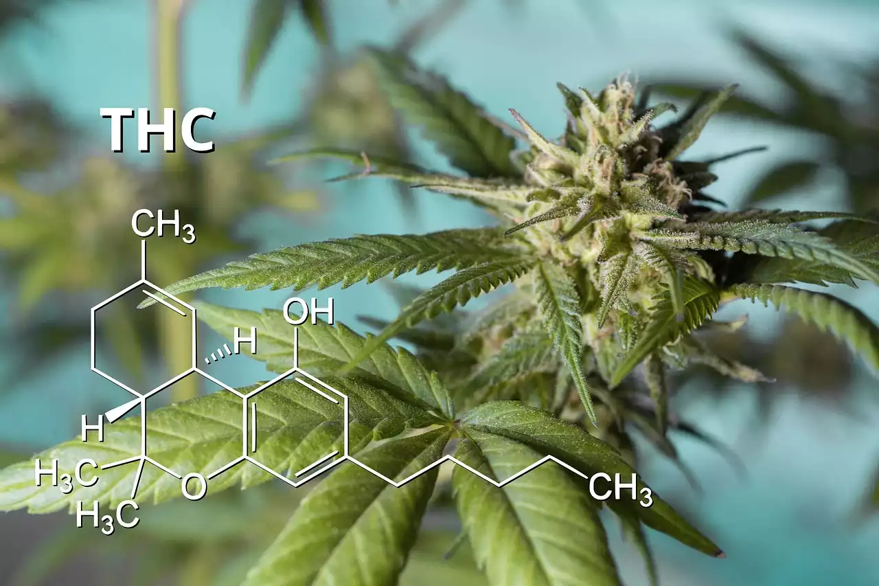 Exploring the Benefits of Delta-8 Tetrahydrocannabinol